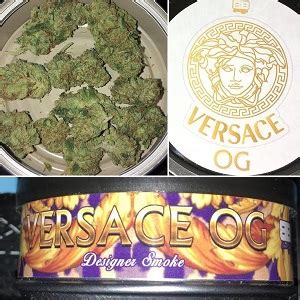 versace og tins